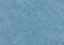 164-37.jpg