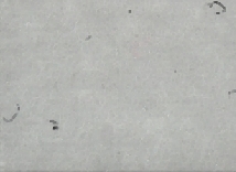 59-142.jpg